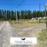  Terreno (Parcela) en venta en Confluencia, Neuquen, Confluencia