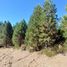  Land for sale in Rio Negro, Bariloche, Rio Negro