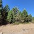  Land for sale in Rio Negro, Bariloche, Rio Negro