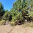  Land for sale in Rio Negro, Bariloche, Rio Negro