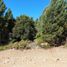  Land for sale in Rio Negro, Bariloche, Rio Negro