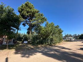 在Pinamar, Buenos Aires出售的 土地, Pinamar