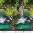 4 Bedroom House for sale in Yerba Buena, Tucuman, Yerba Buena, Tucuman