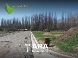  Land for sale in Confluencia, Neuquen, Confluencia