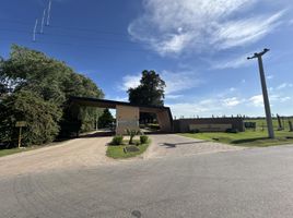  Grundstück zu verkaufen in Rosario, Santa Fe, Rosario