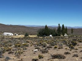  Terreno (Parcela) en venta en Languineo, Chubut, Languineo