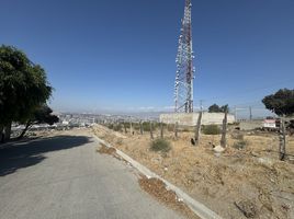  Grundstück zu vermieten in Baja California, Tijuana, Baja California