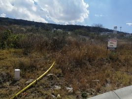  Grundstück zu verkaufen in El Marques, Queretaro, El Marques, Queretaro