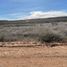  Land for sale in Confluencia, Neuquen, Confluencia