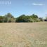  Land for sale in San Vicente, Buenos Aires, San Vicente