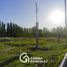  Land for sale in Confluencia, Neuquen, Confluencia