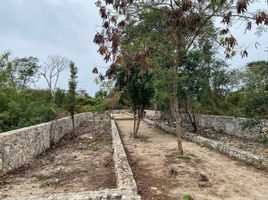  Grundstück zu verkaufen in Merida, Yucatan, Merida