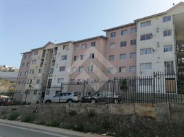 2 Habitación Apartamento en alquiler en Valparaíso, Quilpue, Valparaíso, Valparaíso