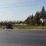  Land for sale in Chepen, La Libertad, Chepen, Chepen