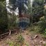  Terreno (Parcela) en venta en Chile, Villarrica, Cautín, Araucanía, Chile