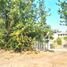  Land for sale in Nuble, Ranquil, Itata, Nuble