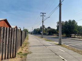  Land for sale in Nuble, Ranquil, Itata, Nuble