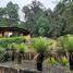 在Valle De Bravo, Mexico出租的6 卧室 屋, Valle De Bravo