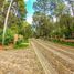  Terreno (Parcela) en venta en Atemajac De Brizuela, Jalisco, Atemajac De Brizuela