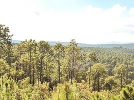  Terreno (Parcela) en venta en Atemajac De Brizuela, Jalisco, Atemajac De Brizuela
