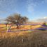  Land for sale in Guanajuato, Guanajuato, Guanajuato, Guanajuato