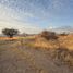  Land for sale in Guanajuato, Guanajuato, Guanajuato, Guanajuato