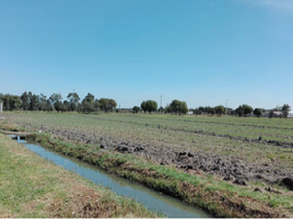  Terrain for sale in Mexico, Coyotepec, Mexico