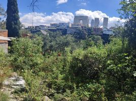  Grundstück zu verkaufen in Naucalpan De Juarez, Mexico, Naucalpan De Juarez