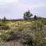  Land for sale in Rio Negro, Bariloche, Rio Negro