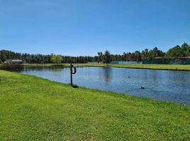  Land for sale in La Plata, Buenos Aires, La Plata