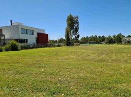  Land for sale in La Plata, Buenos Aires, La Plata