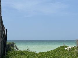  Grundstück zu verkaufen in Ixil, Yucatan, Ixil
