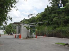 在Coatepec, Veracruz出售的 土地, Coatepec