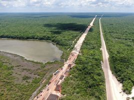  Grundstück zu verkaufen in Puerto Morelos, Quintana Roo, Puerto Morelos