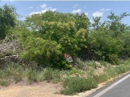  Terrain for sale in Merida, Yucatan, Merida