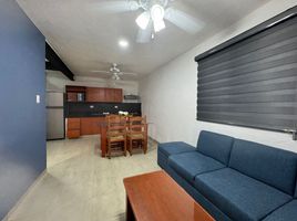 1 Bedroom Apartment for rent in Merida, Yucatan, Merida