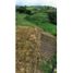  Land for sale in Santa Rosa De Cabal, Risaralda, Santa Rosa De Cabal
