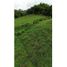  Land for sale in Santa Rosa De Cabal, Risaralda, Santa Rosa De Cabal