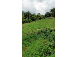  Land for sale in Santa Rosa De Cabal, Risaralda, Santa Rosa De Cabal
