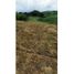  Land for sale in Santa Rosa De Cabal, Risaralda, Santa Rosa De Cabal