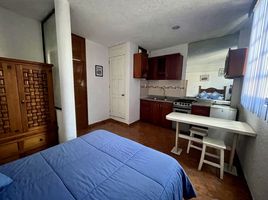 1 Habitación Departamento en alquiler en Coyoacan, Ciudad de México, Coyoacan