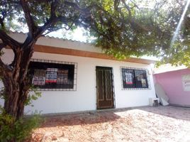 3 Habitación Apartamento en alquiler en Córdoba, Monteria, Córdoba