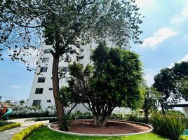 2 Bedroom Condo for rent in Huitzilac, Morelos, Huitzilac