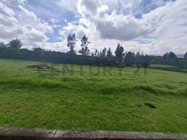  Land for sale in Alangasi, Quito, Alangasi