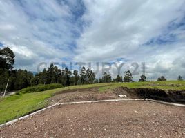  Land for sale in Alangasi, Quito, Alangasi