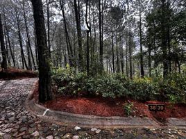 Terreno (Parcela) en venta en Mazamitla, Jalisco, Mazamitla