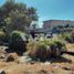 Land for sale in Atenco, Mexico, Atenco