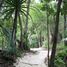 Terrain à vendre à Cozumel, Quintana Roo, Cozumel