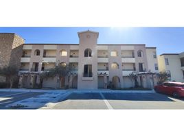 2 Bedroom Condo for rent in La Paz, Baja California Sur, La Paz