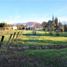  Land for sale in Chile, Buin, Maipo, Santiago, Chile